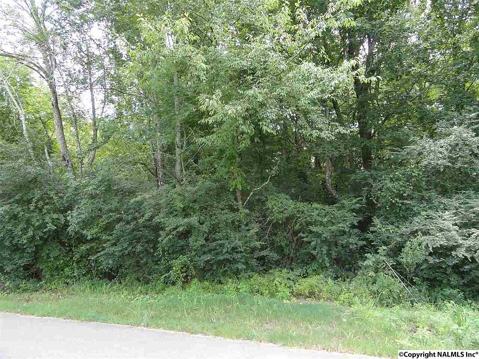 2nd image of 29246 Tribble Rd