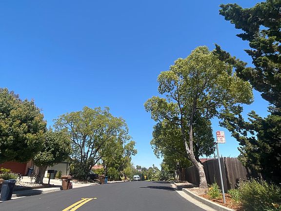 3rd image of 968 Pinon Dr