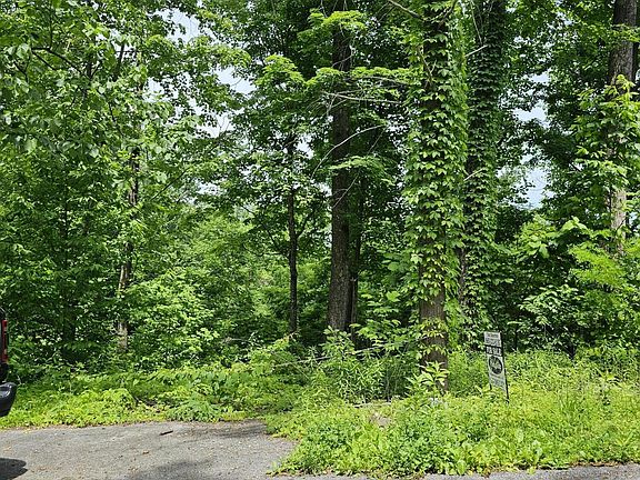5th image of 535 Forest Springs Dr Lot 6