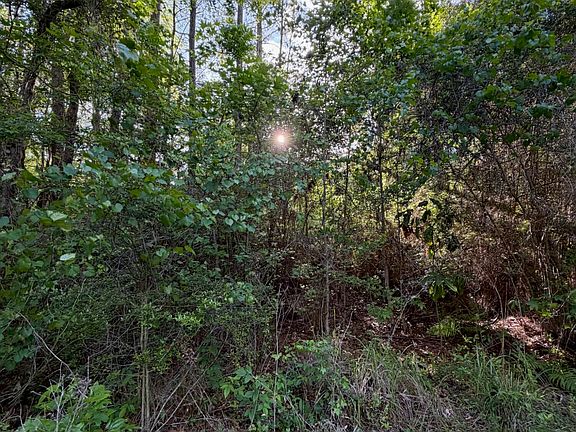 4th image of State Line Rd