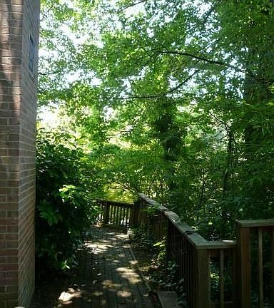 4th image of 6307 Hardy Dr