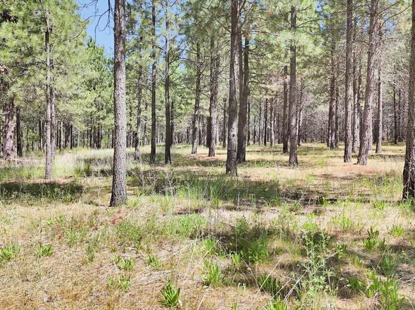 W Burroughs Rd, Deer Park, WA 99006