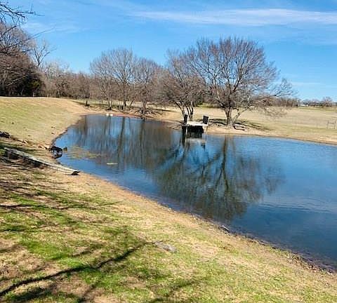 3rd image of 1578 N Fm 1655