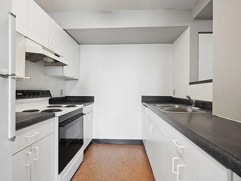 Double-Galley Kitchen Layouts