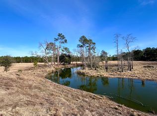 1399 Wildwood Church Rd, Pembroke, GA 31321