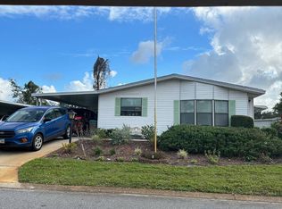 3048 Tree Frog Ln, Deland, FL 32724