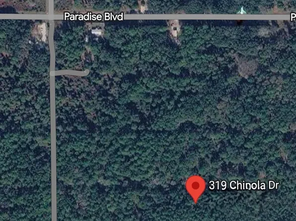 319 Chipola Dr, Georgetown, FL 32139