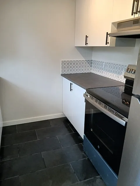 2 bed, 815 sqft, $1,795 — Photo 3