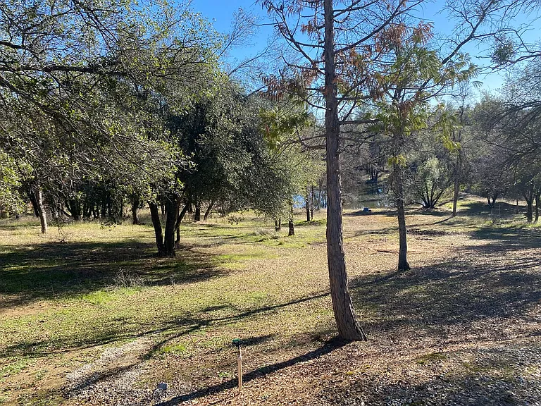 10964 Rainbow Lake Rd — Photo 29