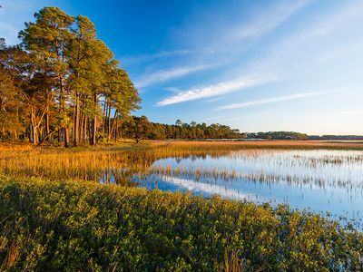 430 Estuary Ln, Kiawah Island, SC, 29455