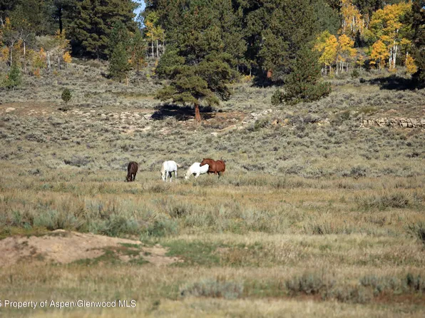 Divide Rd, Whitewater, CO 81527