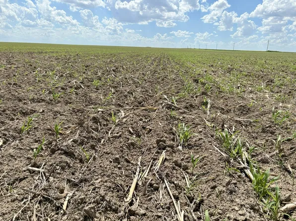 County Road Xx N, Holly, CO 81047