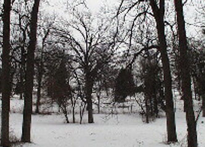 1st image of 2224 Gainsboro Ave