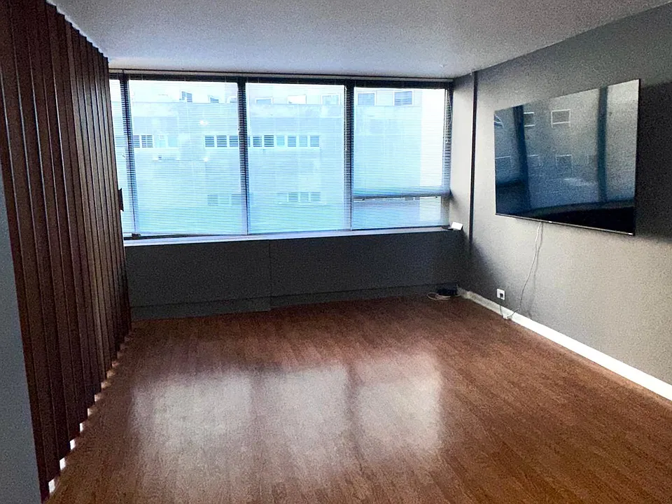 2800 N Lake Shore Dr #309