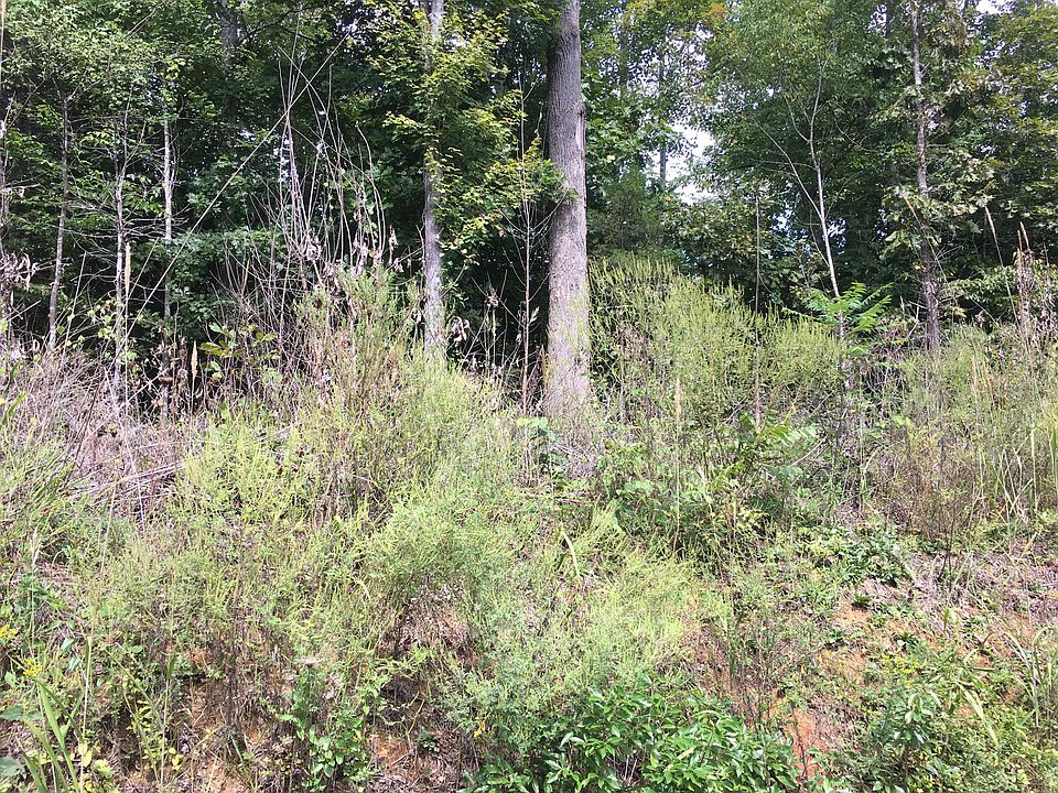 1st image of Dogwood Trl E