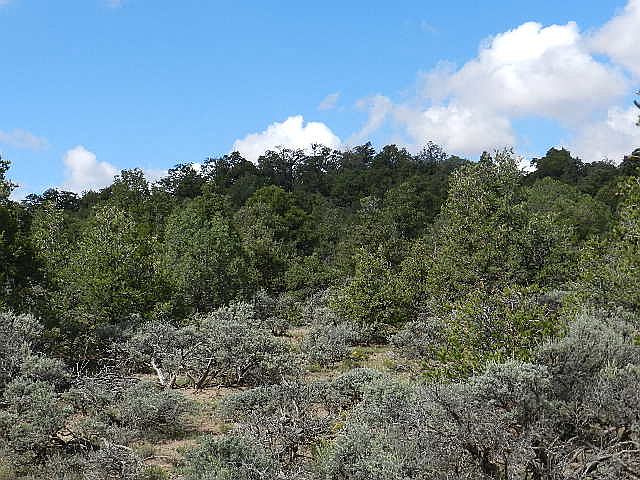 1st image of 45 Mountain View Trl