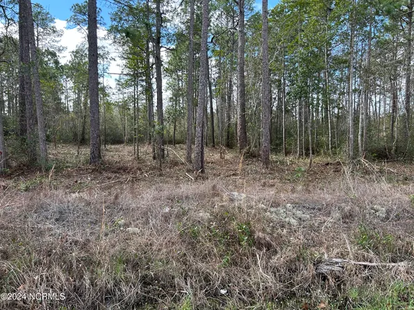 131 N High Point Road, Boiling Spring Lakes, NC 28461
