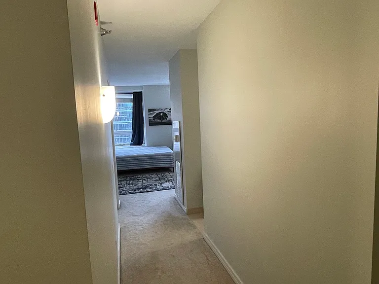 512 N McClurg Ct #3002 — Photo 6