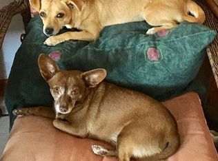 9508 Verbena Dr, El Paso, TX 79924