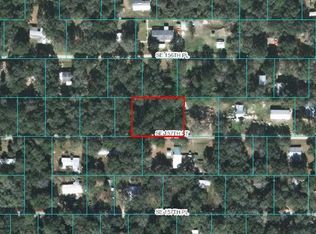 20145 SE 157th St, Umatilla, FL 32784