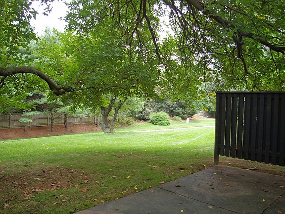 Trail View from Patio