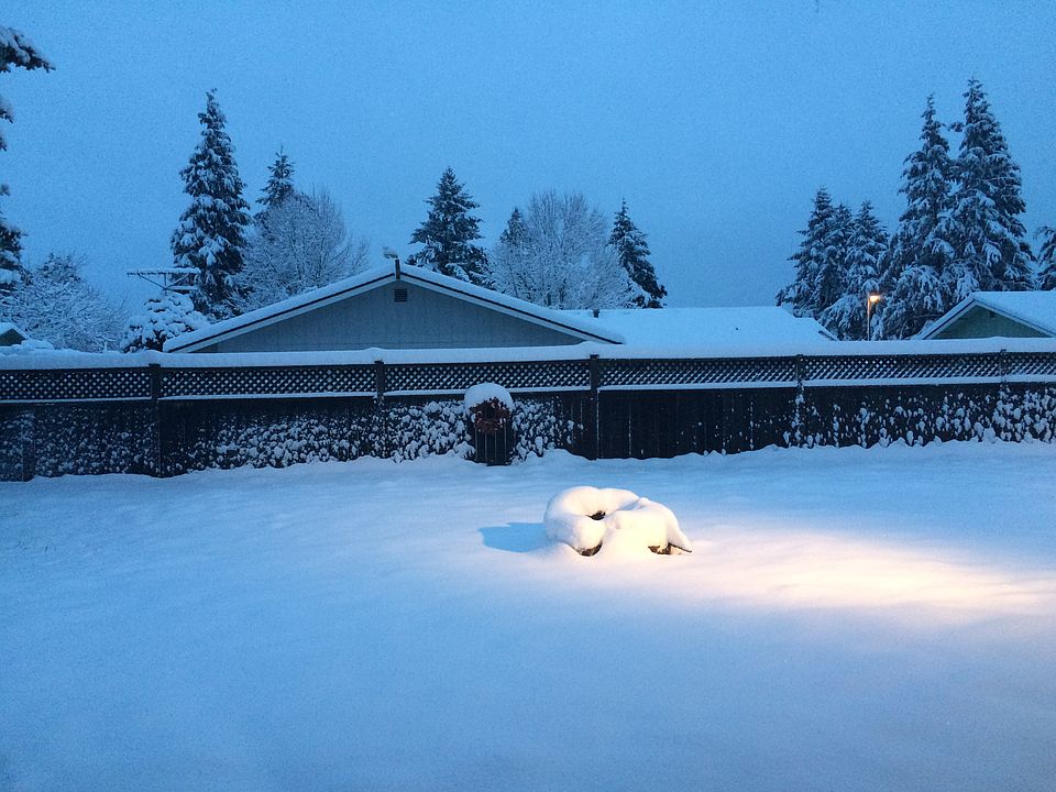 Back yard in snow 