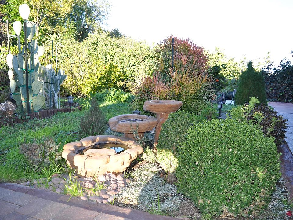 The garden