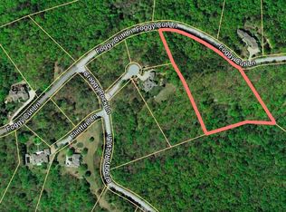 312 Foggy Cut Ln, Landrum, SC 29356