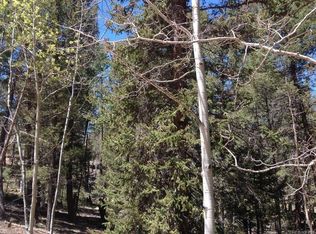 115 Junction Way, Florissant, CO 80816