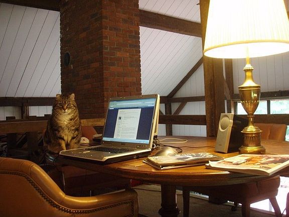 loft