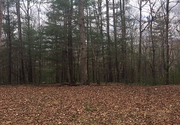 2nd image of 32 Opal Ln