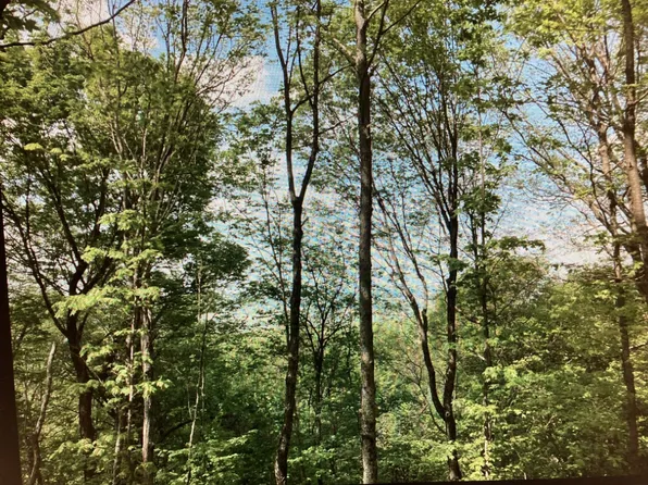 0 Lemont & Yates Mountain Rd, Spencer, TN 38585