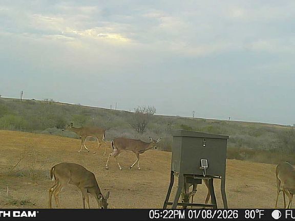 4th image of 00 S COUNTY ROAD 153