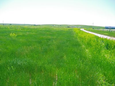 Gobbler Ln, Smithwick, SD, 57782