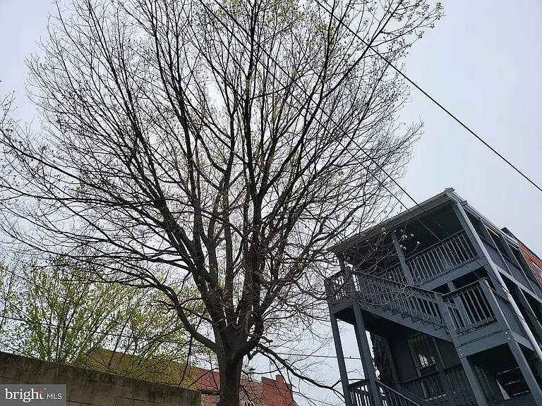 2012 Mount Royal Ter — Photo 2