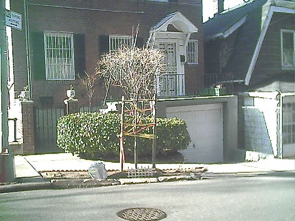 4 Close Front View - Detached