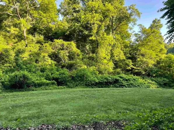 0 Buffalo Creek Rd, Huntington, WV 25704