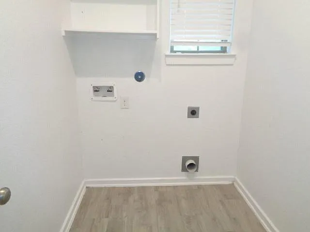 27029 Sofia Forest Dr — Photo 3