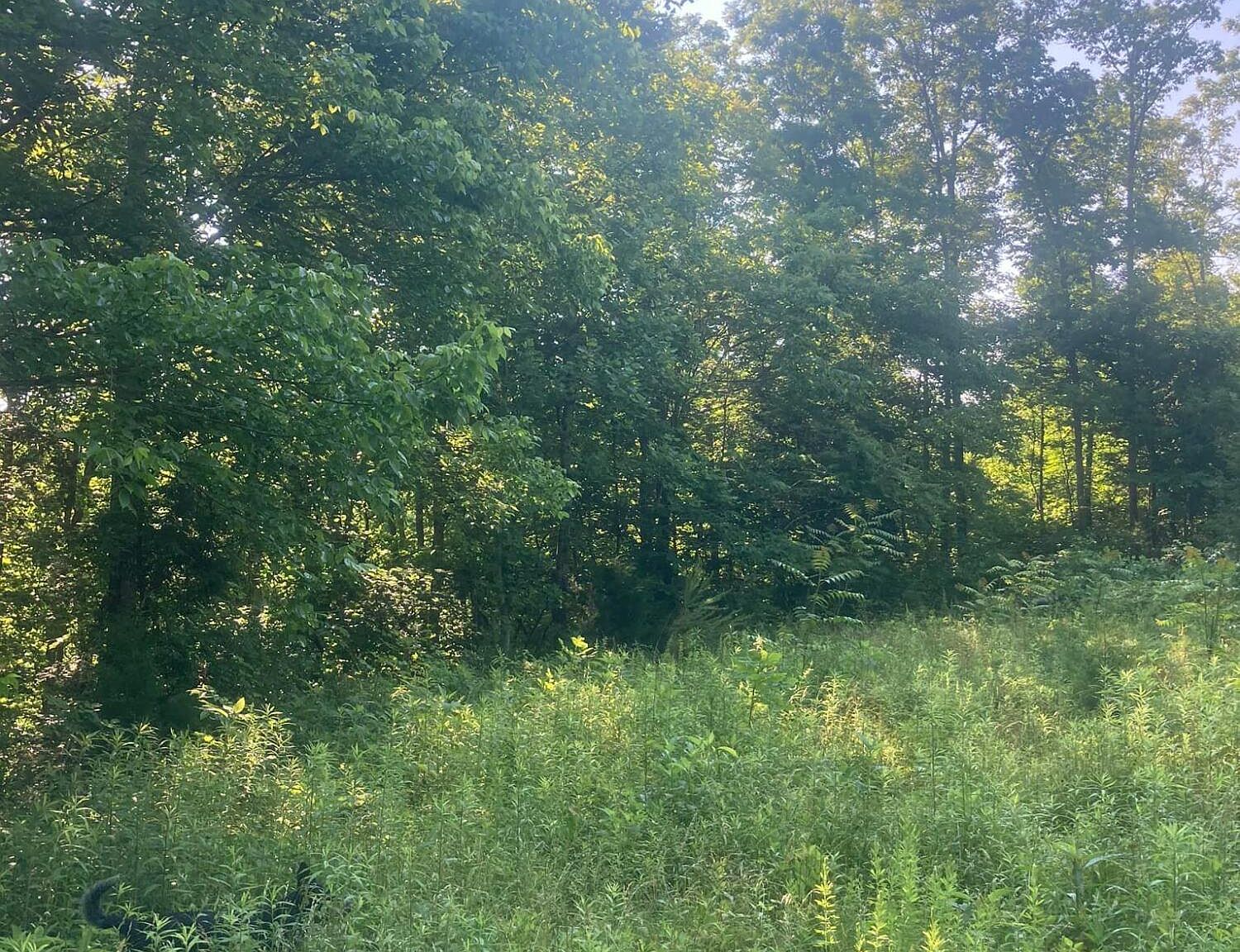 282 Lone Mountain Rd, Andersonville, TN 37705 MLS 1228855 Zillow