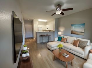 1910 E Palm Ave APT 11210, Tampa, FL 33605