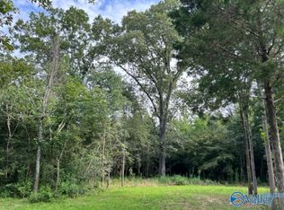 E Highway 55, Falkville, AL 35622