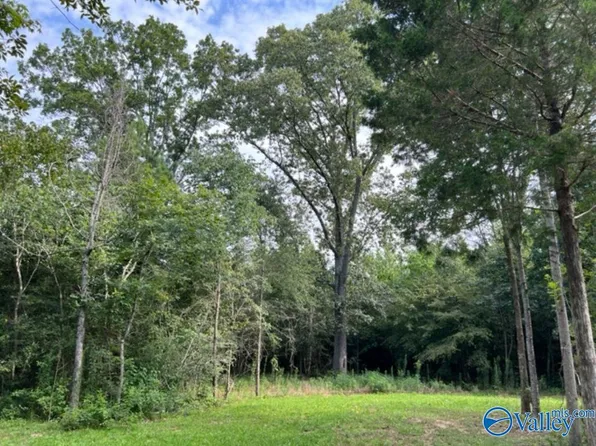 E Highway 55, Falkville, AL 35622