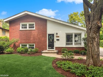 1408 E Miner St, Arlington Heights, IL, 60004