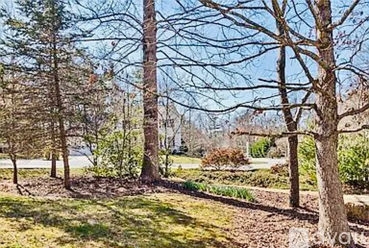 310 Mountain Alder Ln — Photo 9