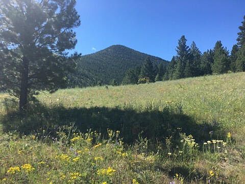 1st image of Nhn Woods Creek Rd