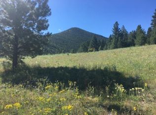 Nhn Woods Creek Rd, Wolf Creek, MT 59648