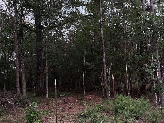 4th image of 760 County Road 2146