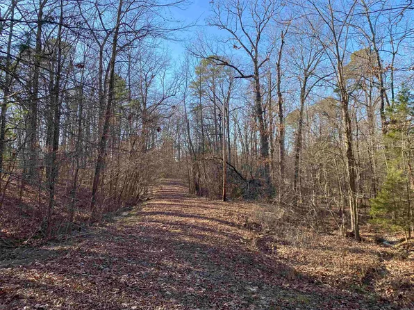 Lloyd Dr, Mount Ida, AR 71957