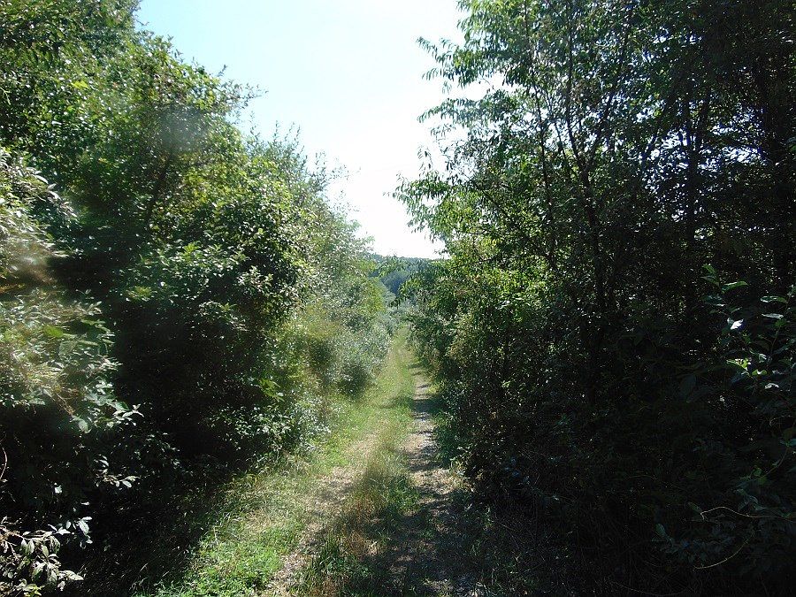 2nd image of 980 Walton Furnace Rd