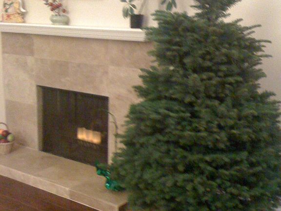 fireplace in living room